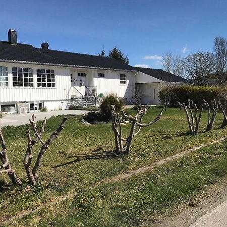 Cozy & Private Room In The Middle Of Lofoten Leknes Exterior foto